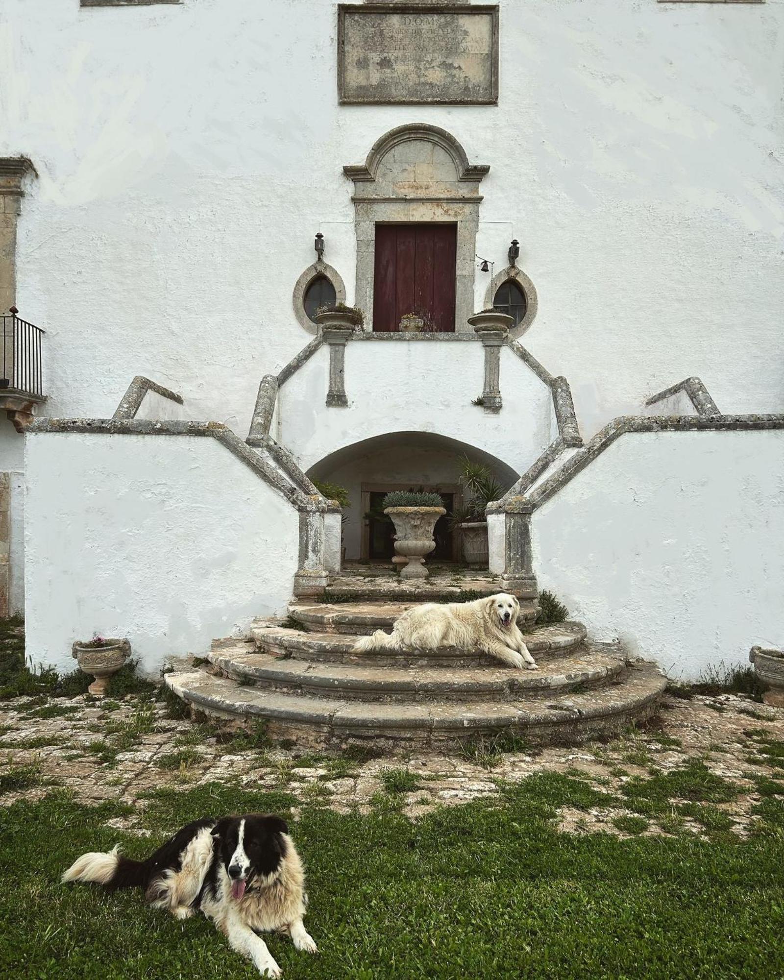 Masseria Murgia Albanese 노치 외부 사진