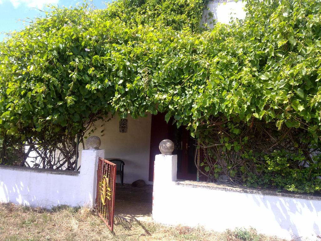 Masseria Murgia Albanese 노치 외부 사진