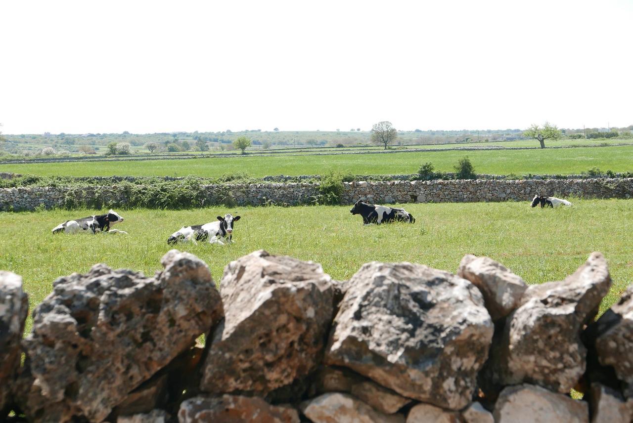 Masseria Murgia Albanese 노치 외부 사진