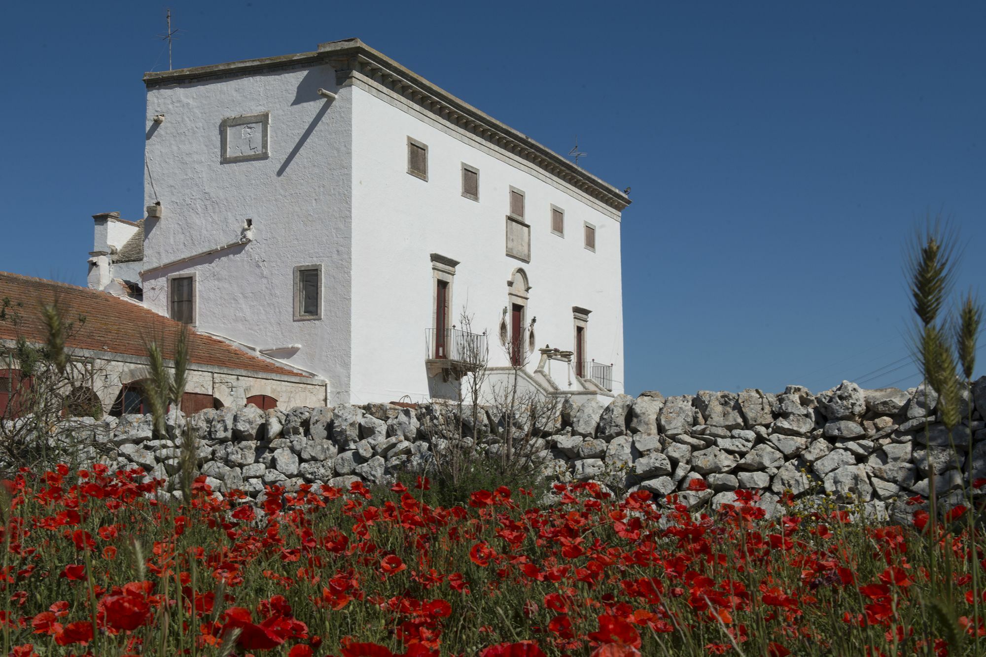 Masseria Murgia Albanese 노치 외부 사진